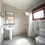 & 营地