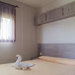 & 扎马亚