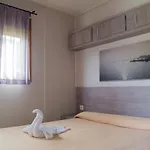 & 营地 *